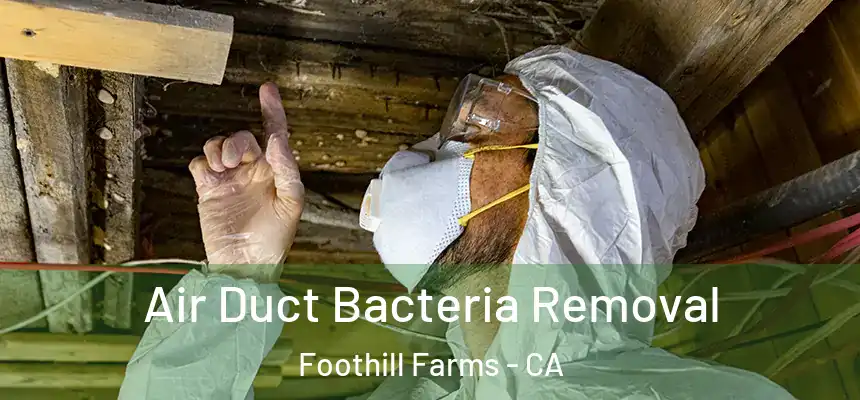  Air Duct Bacteria Removal Foothill Farms - CA