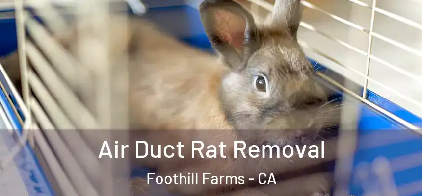  Air Duct Rat Removal Foothill Farms - CA
