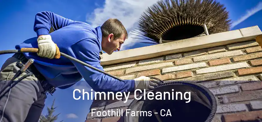  Chimney Cleaning Foothill Farms - CA