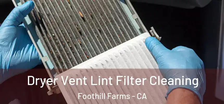  Dryer Vent Lint Filter Cleaning Foothill Farms - CA