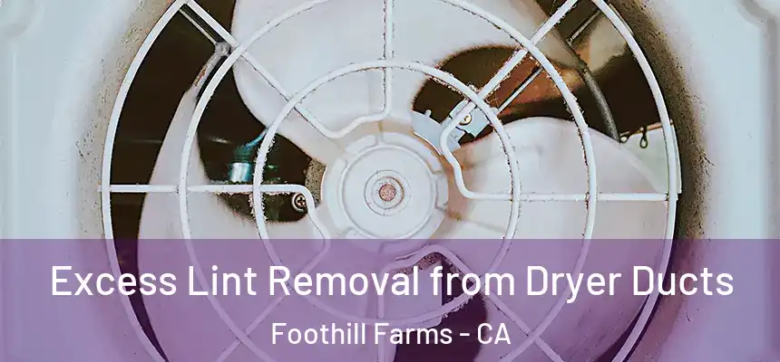 Excess Lint Removal from Dryer Ducts Foothill Farms - CA