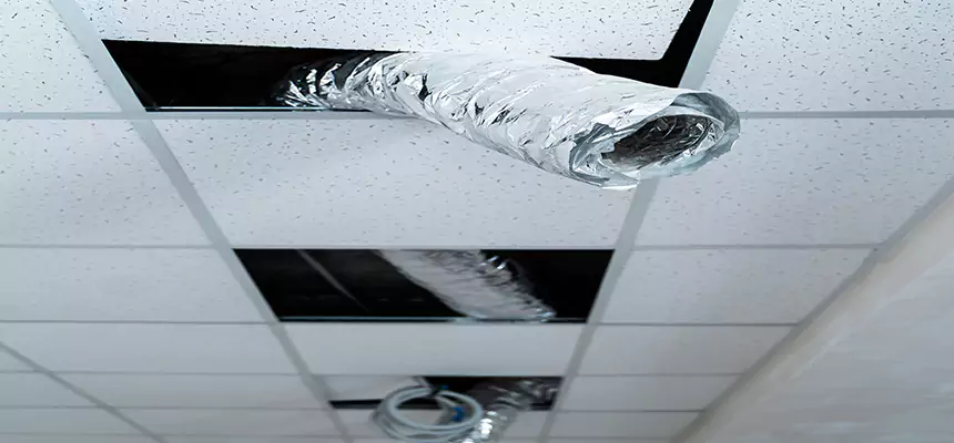 Affordable HVAC Sanitizing After Pest Removal in Foothill Farms