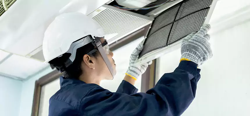 Our Mold & Mildew Removal from Air Ducts Services in Foothill Farms, CA