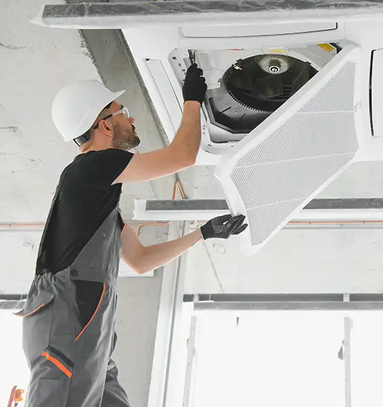 About Air Duct Rodent Removal in Foothill Farms, CA