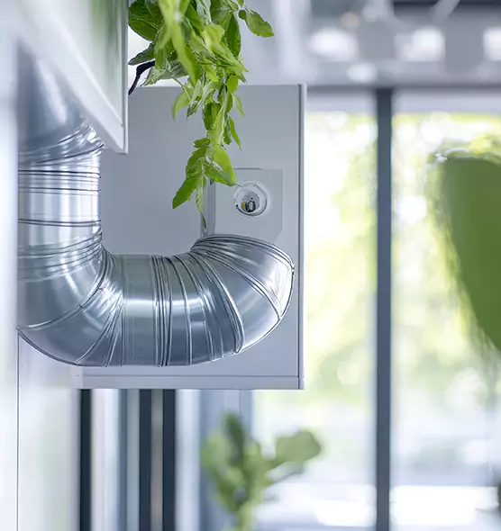 Professional Eco-Friendly Duct Cleaning Services in Foothill Farms, CA