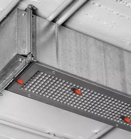 Affordable Insect Removal from Air Ducts in Foothill Farms, CA