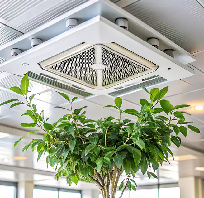 Why Homeowners & Businesses Trust Us in Foothill Farms, CA?