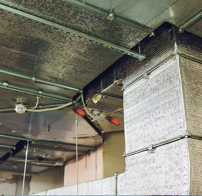 Why Homeowners & Businesses Trust Us Foothill Farms, CA?