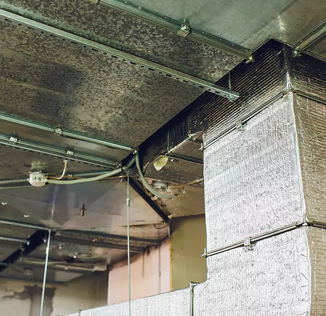 Why Homeowners & Businesses Trust Us in Foothill Farms, CA?